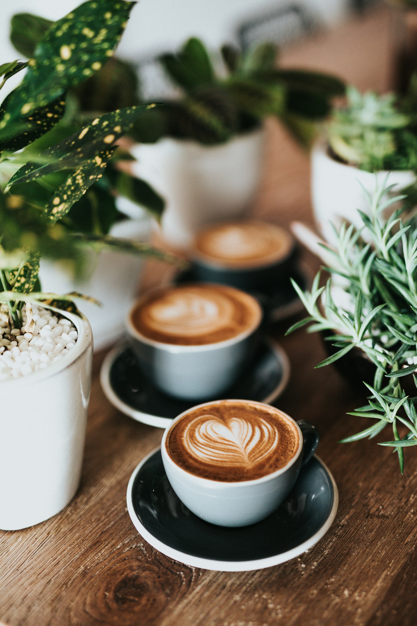 Zus Coffee project